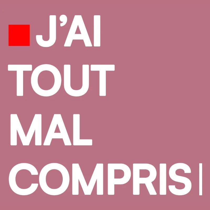 J’AI TOUT MAL COMPRIS | Humour autodérision