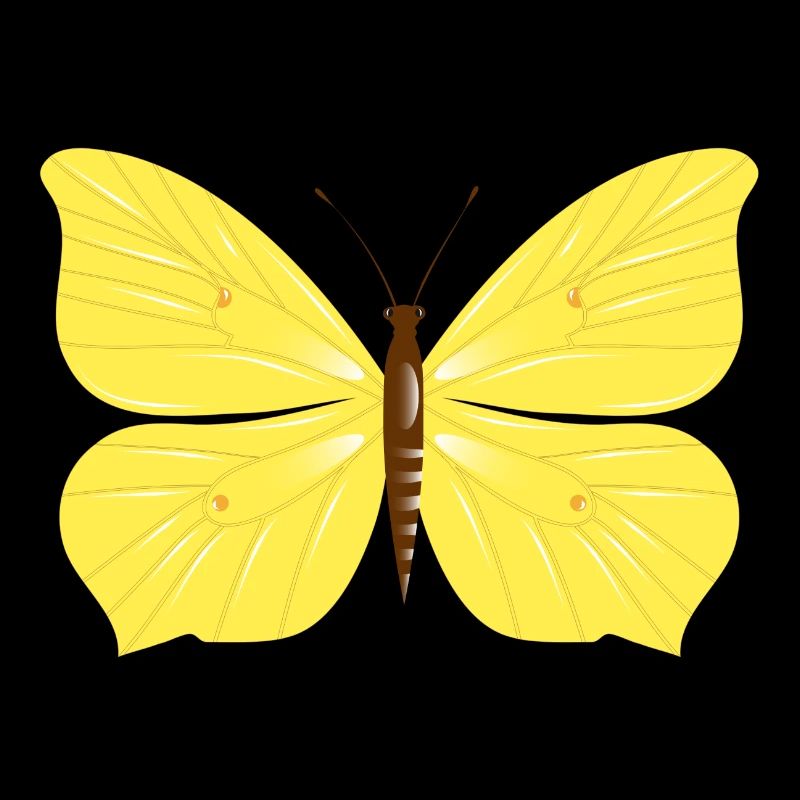 Lemon butterfly butterfly drawn by hand