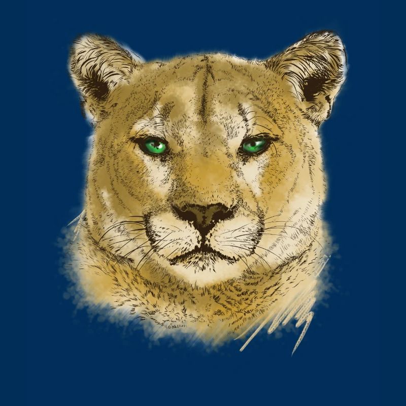 Cougar