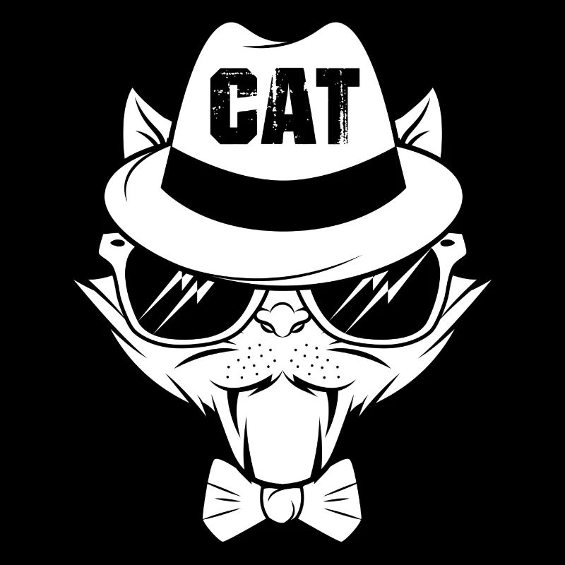 Chat chaton miaou chat domestique oeil de chat