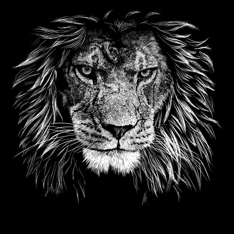 lion
