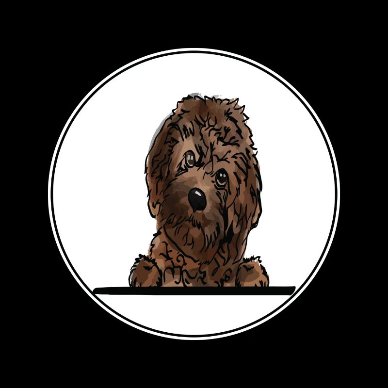 Cavapoo Dog pour les amateurs de chiens qui regardent