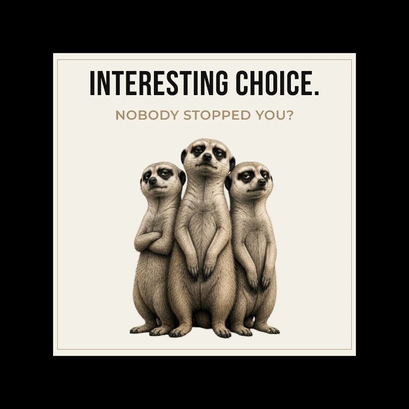 Trio de suricates à choix intéressant