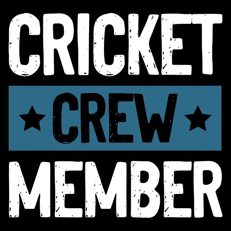 Équipe de cricket