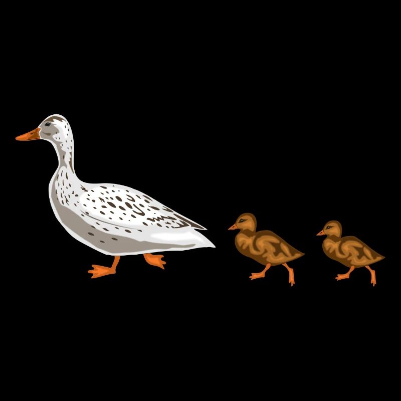 duck
