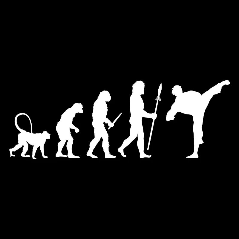 Évolution du karaté