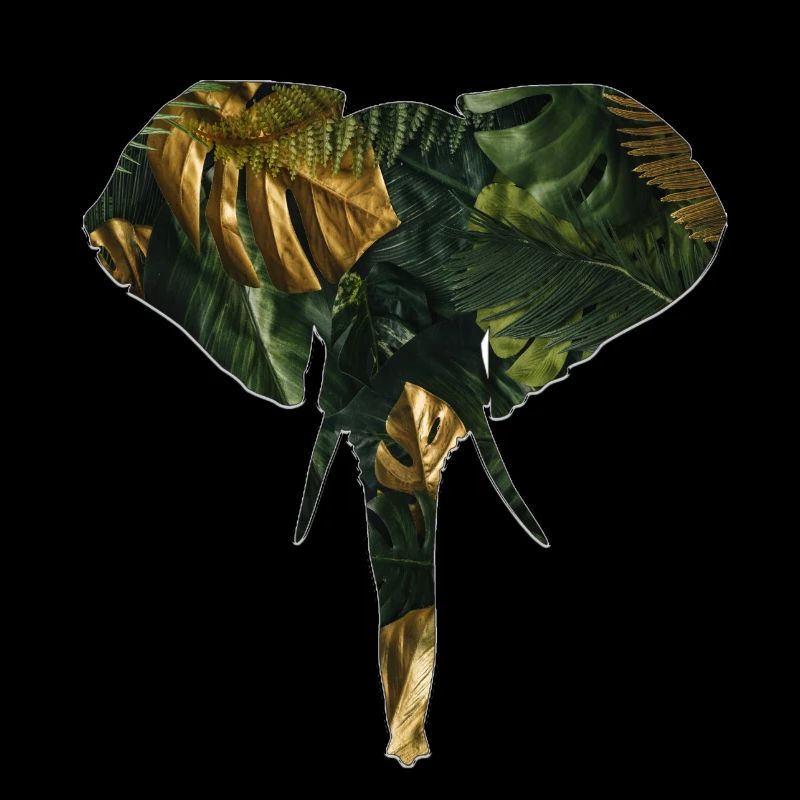 Éléphant dans la jungle