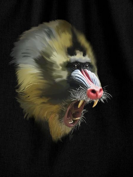 mandrill