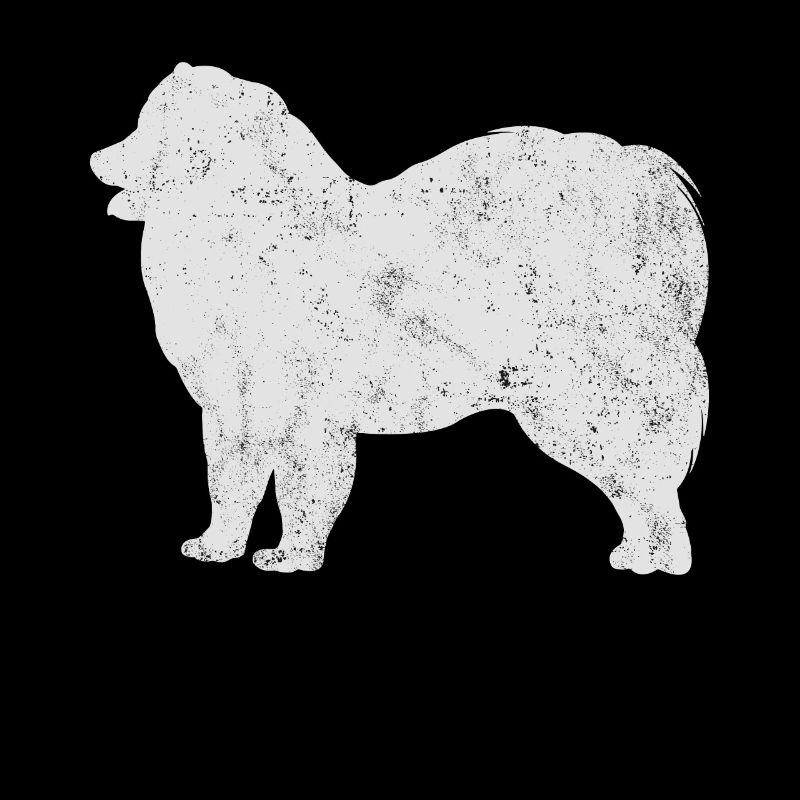 Samojede Samoyed Hundebesitzer