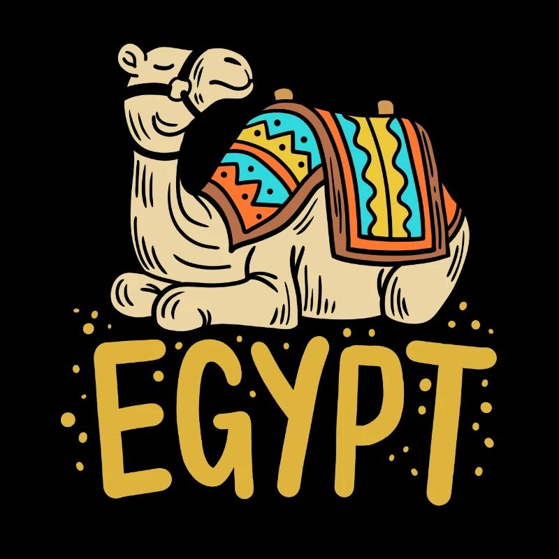 Égypte Chameau égyptien