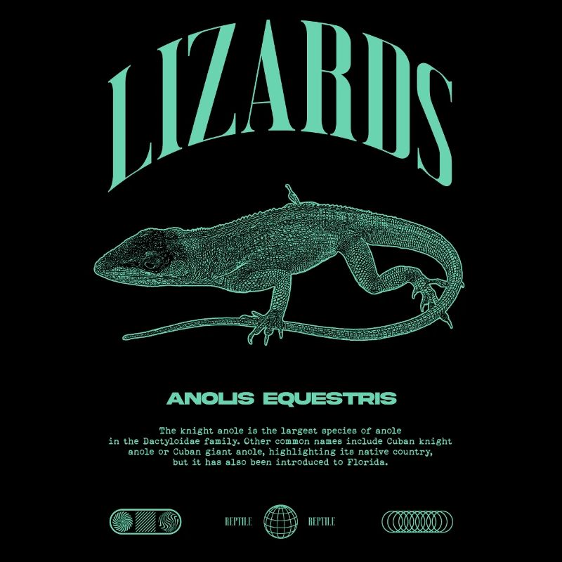 Cuban Knight Anole Reptile Keeper Lizard