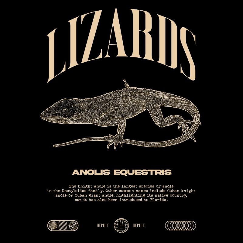 Cuban Knight Anole Reptile Keeper Lizard