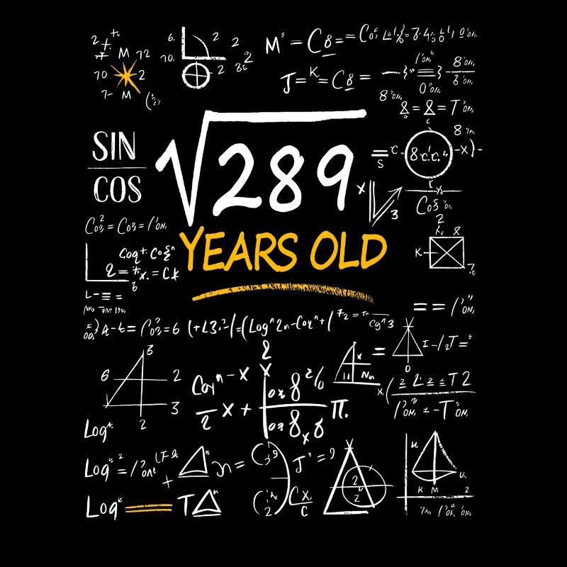 17 Years Birthday Math Formulas Funny