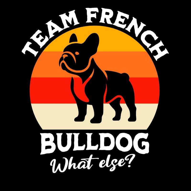 Équipe Bouledogue Français