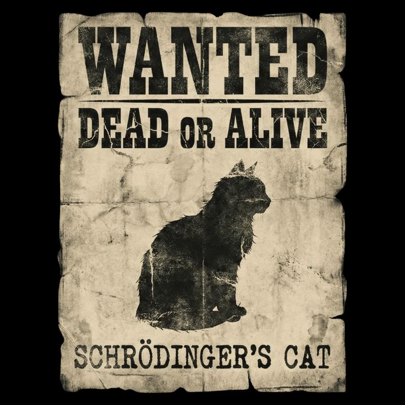 Schrödingers Katze gesucht Tot-oder-lebendig Physik-Wortspiel