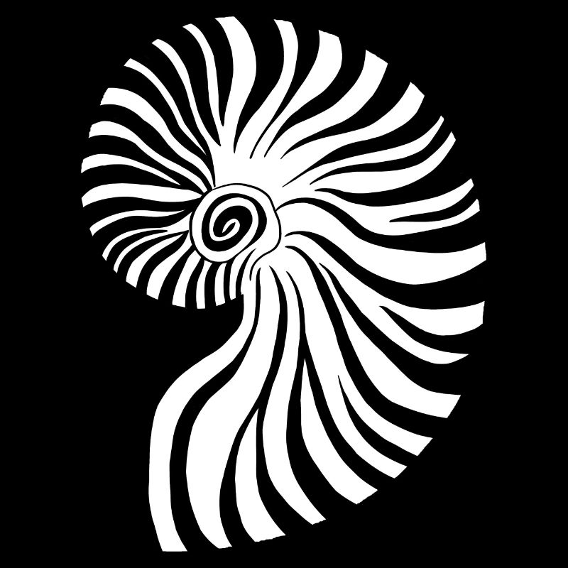 Kontrastierendes spiralförmiges nautisches Muster
