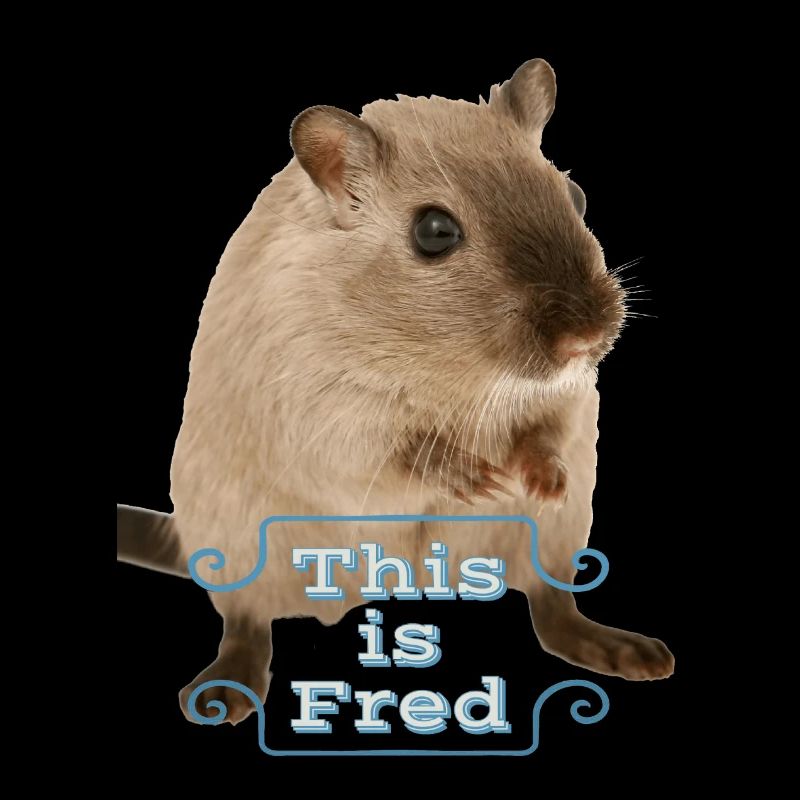 This is fred lustiges süßes maus geschenk idee