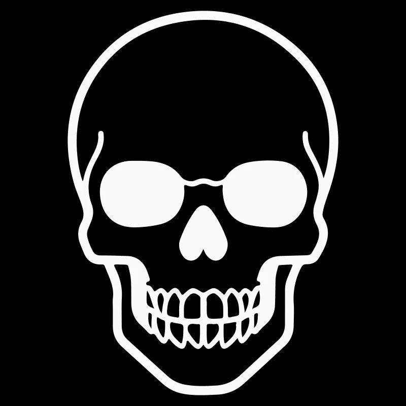 Minimalist skull design