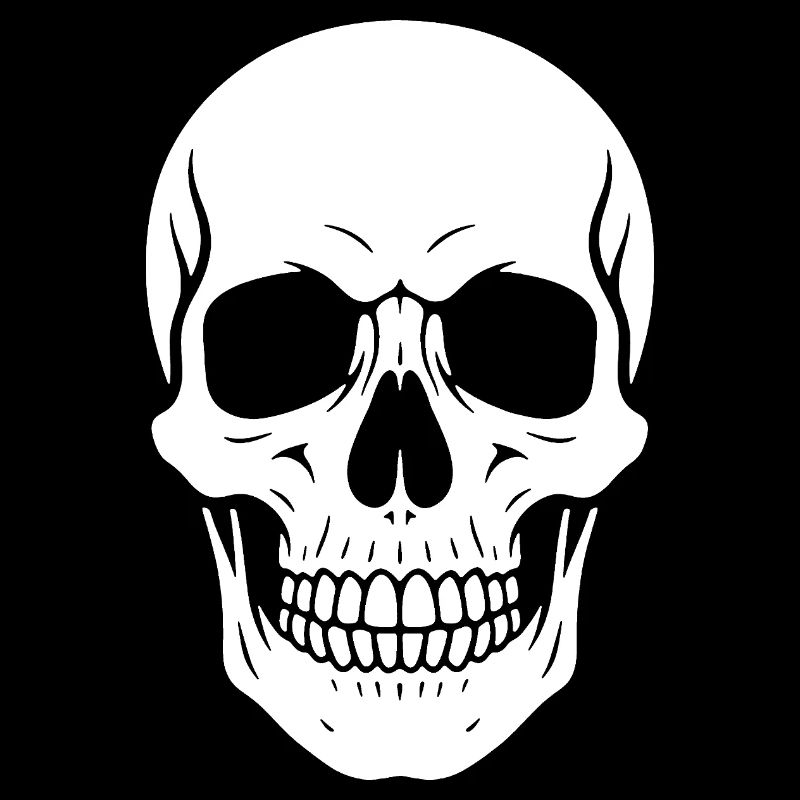 Graphique de la silhouette du crâne