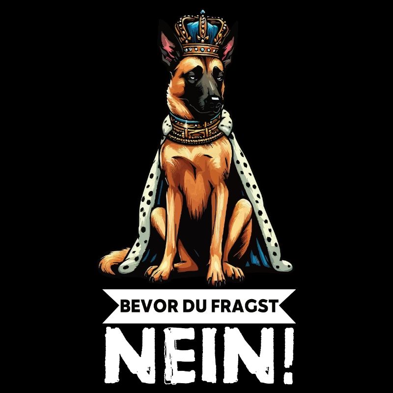 Before you ask: Malinois Belgian Shepherd