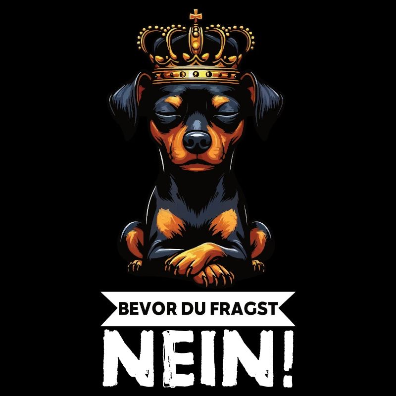 Before you ask Miniature Pinscher Pinscher Pinscher Fan