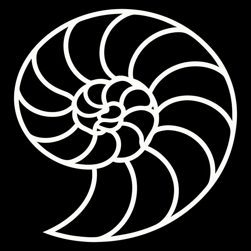 Weiße Nautilus-Spirale
