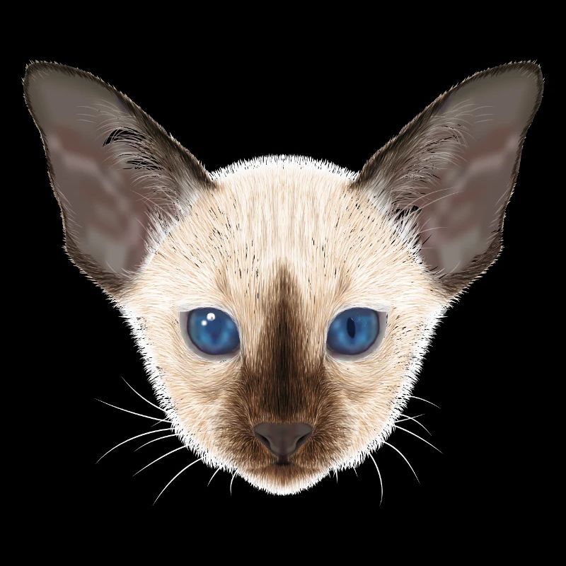 Siamese cat