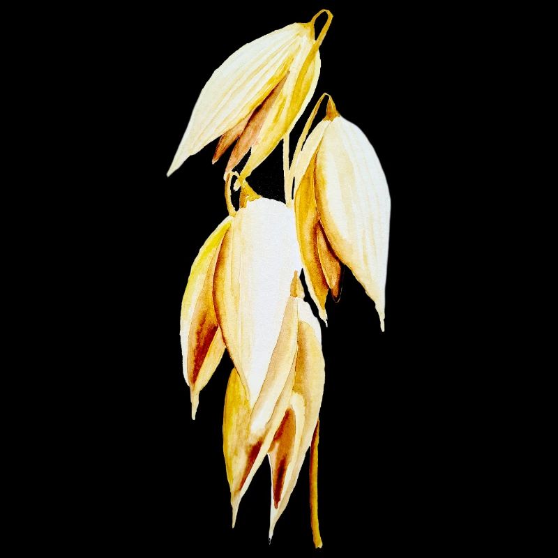 Avoine à feuilles jaune dorée imprimées