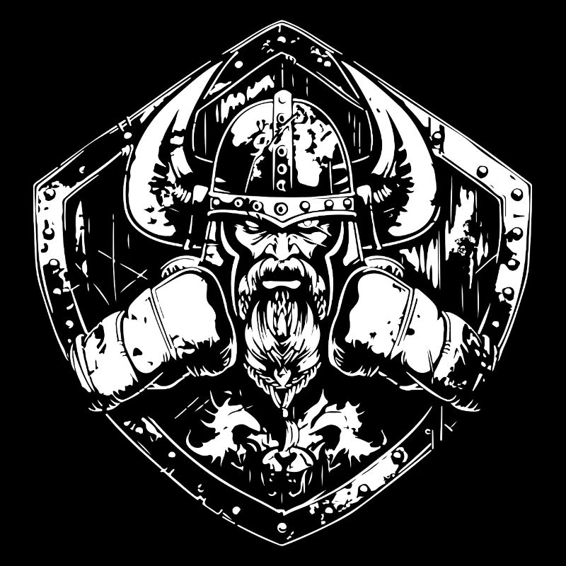 MMA de boxe viking