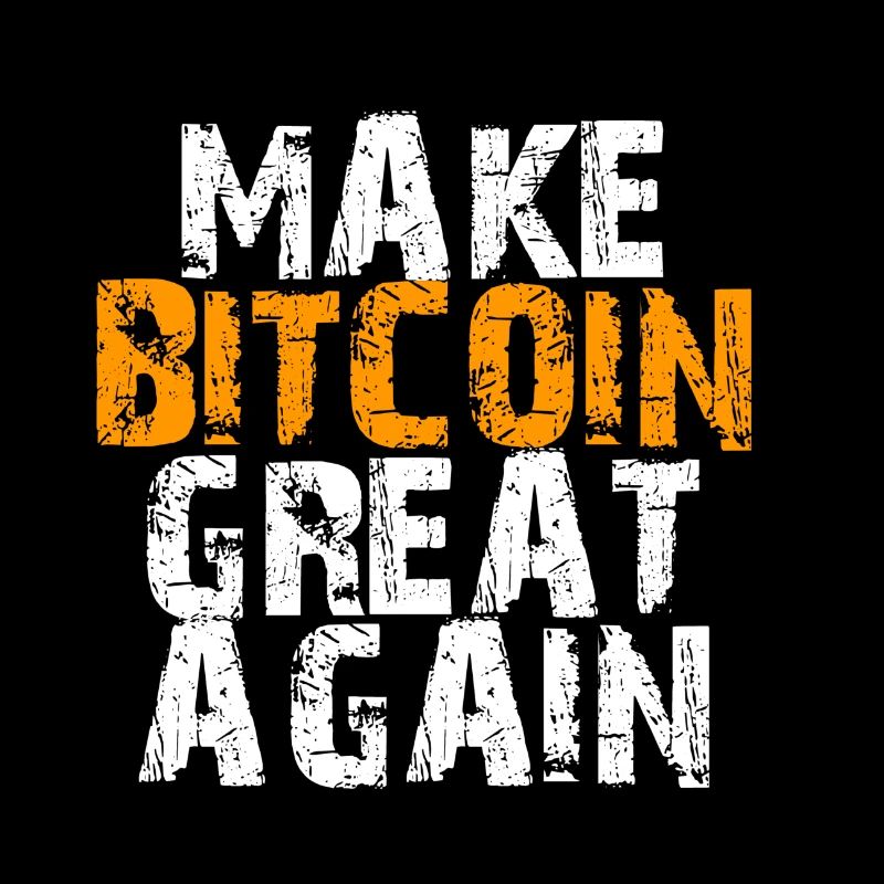 Make Bitcoin Great Again Motivational Design