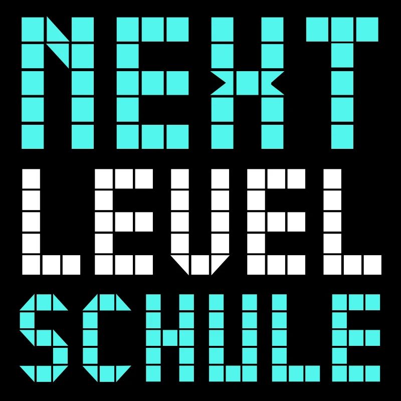 Next Level Schule