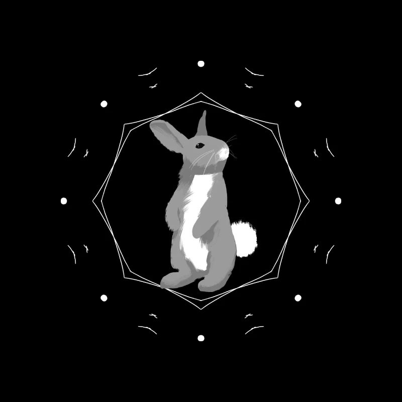 Rabbit in geometry ring