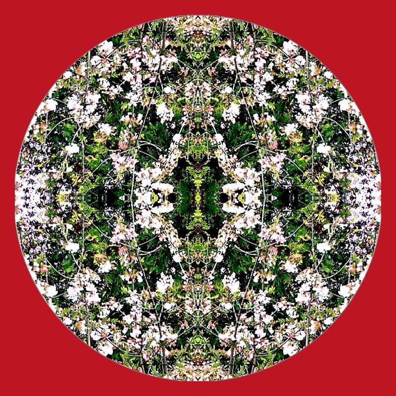 Source du Mandala de la Nature à Nuremberg