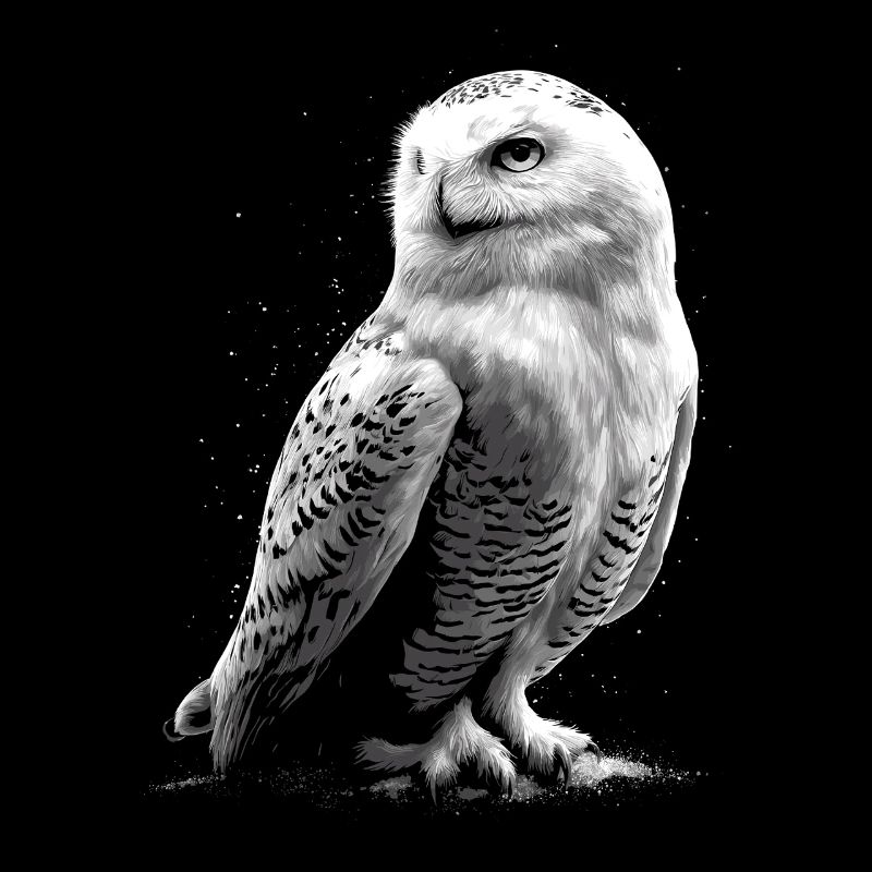 Schneeeule Weiße Eule Kauz Uhu Owl Schnee Eulen