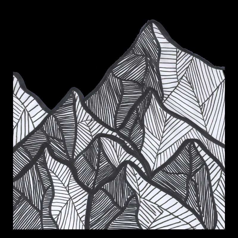 Black and white mountain lines
