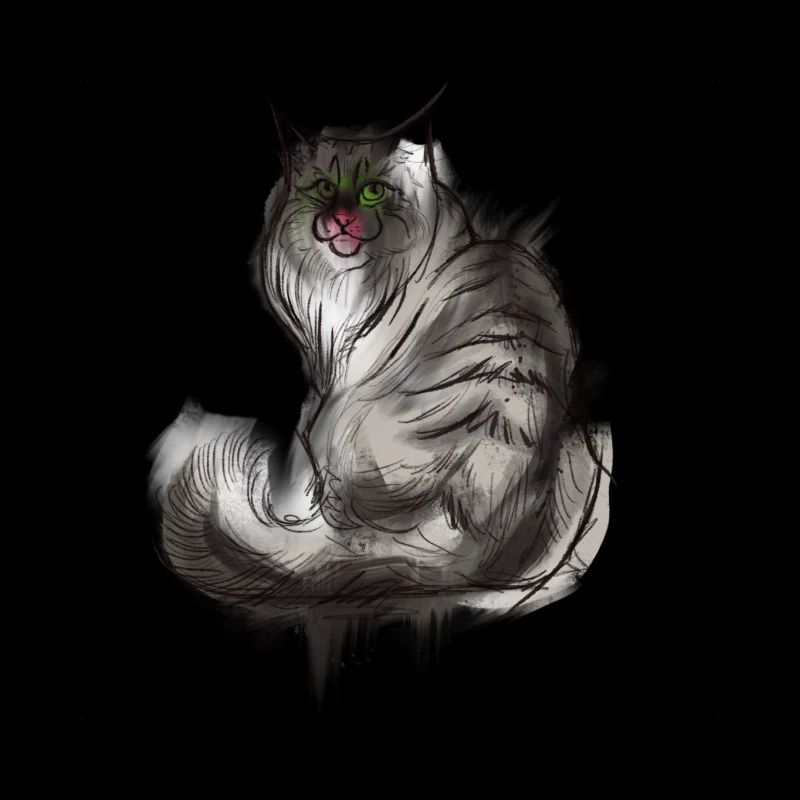 Chat des forêts norvégiennes