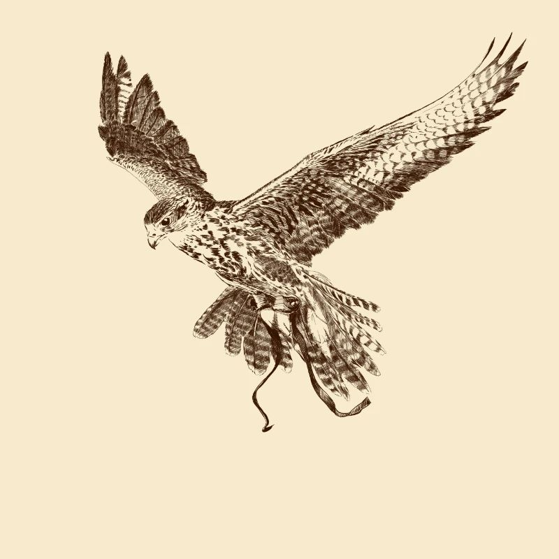 Falkon