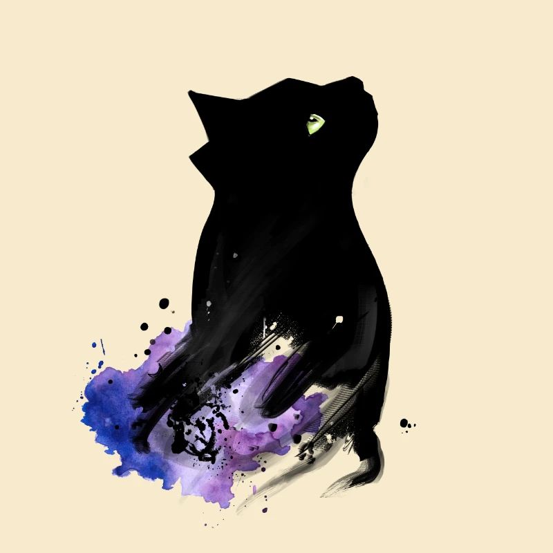 Black Cat