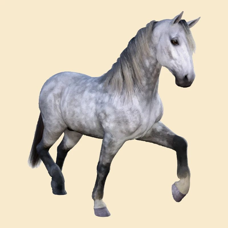 Gray wild horse galloping