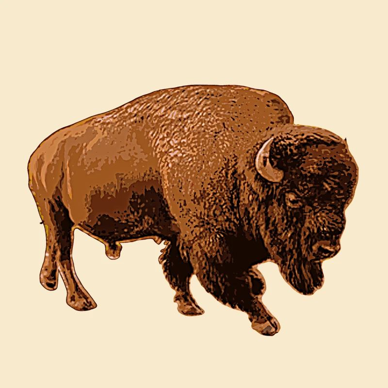 Bison