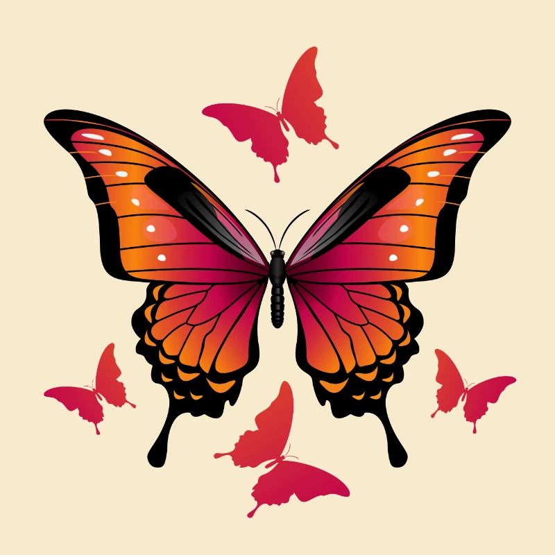 Schmetterlinge - Schmetterling