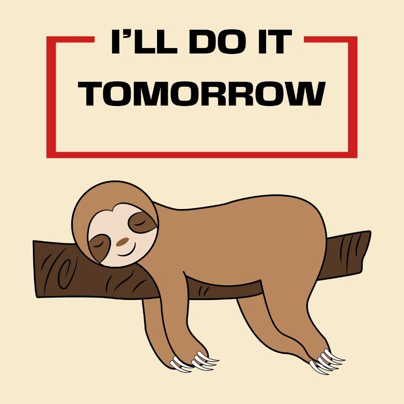Animal Lazy Statement Hammock Sloth Sleeping