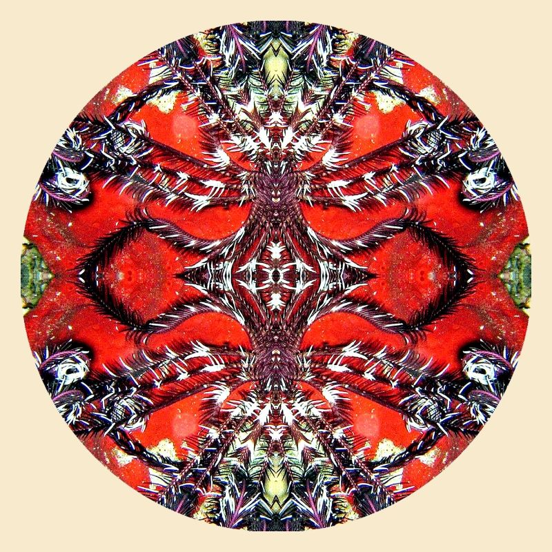 Nature Mandala Underwater Feather Star