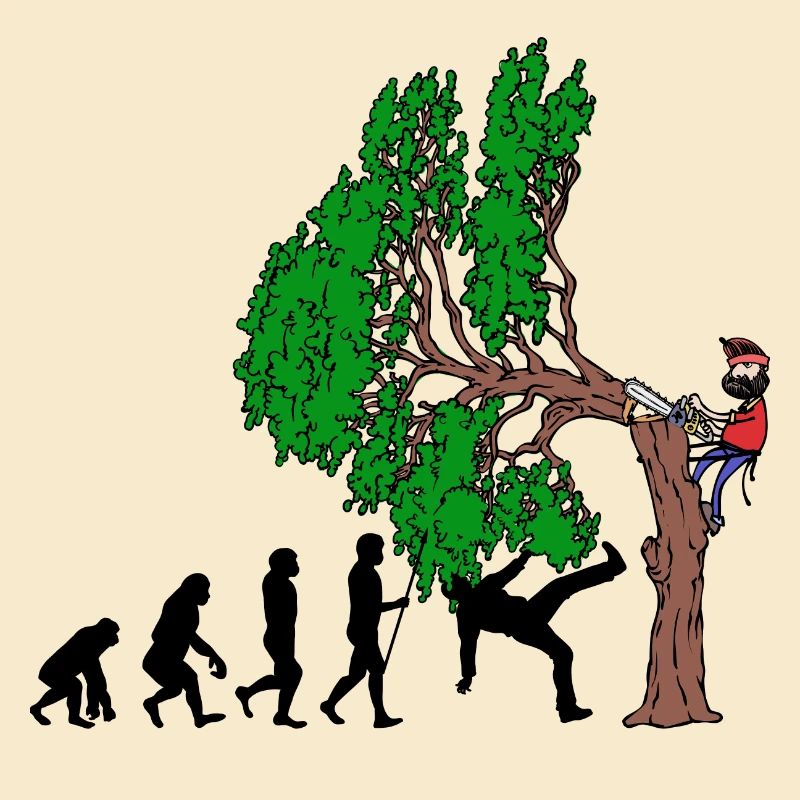 Tree Evolution Bois Bûcheron Forêt de bûcherons