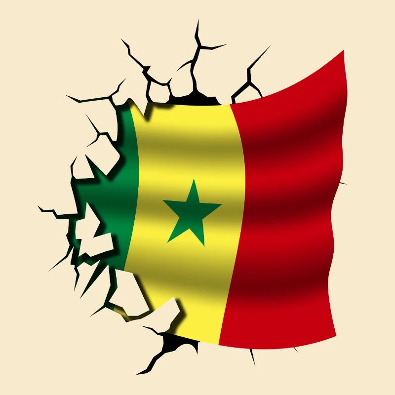 Drapeau du Sénégal - Sénégal - Drapeau Broken Design