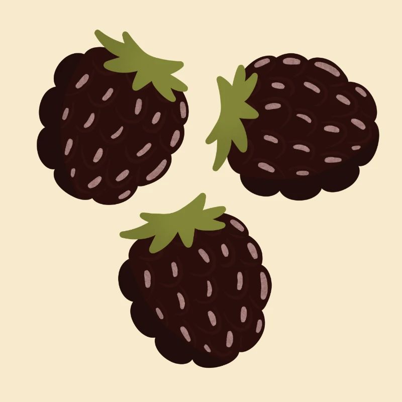 Berry Delight Design illustratif