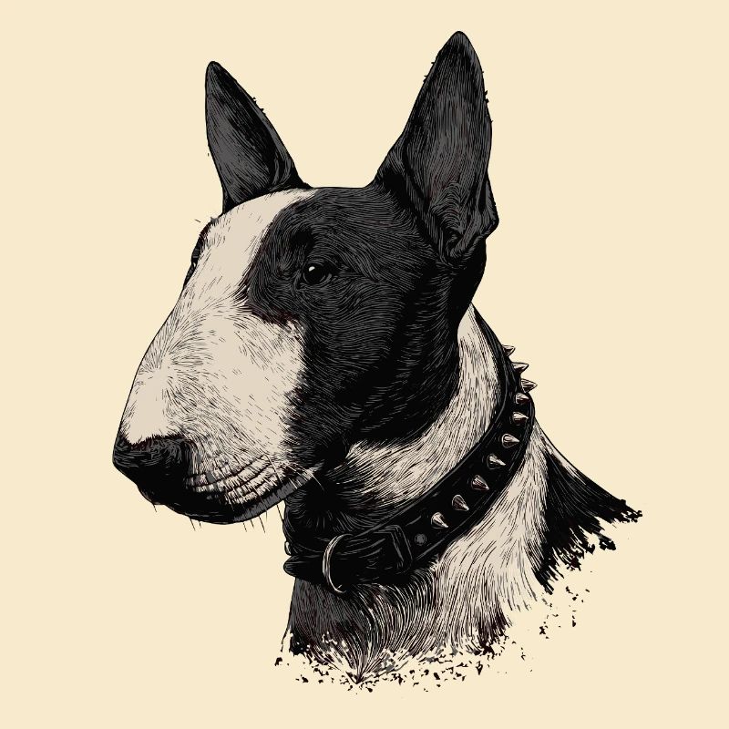Bull Terrier