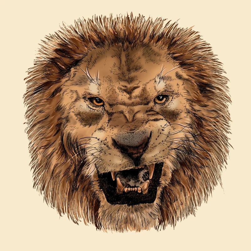 Impression majestueuse tête de lion
