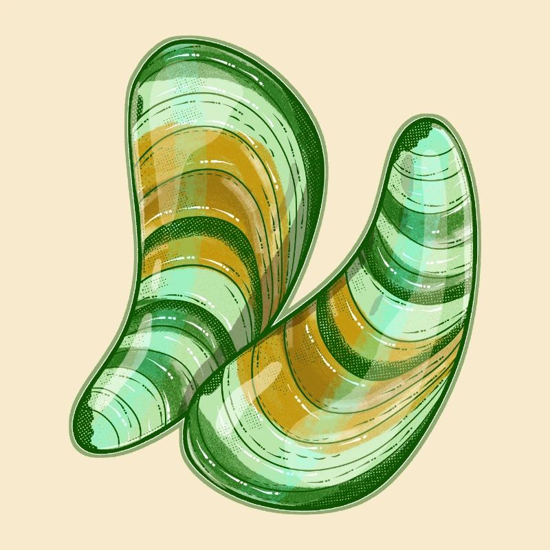 Illustration de moules à lèvres vertes