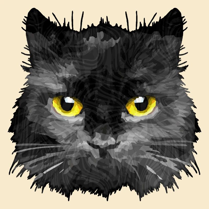 chat